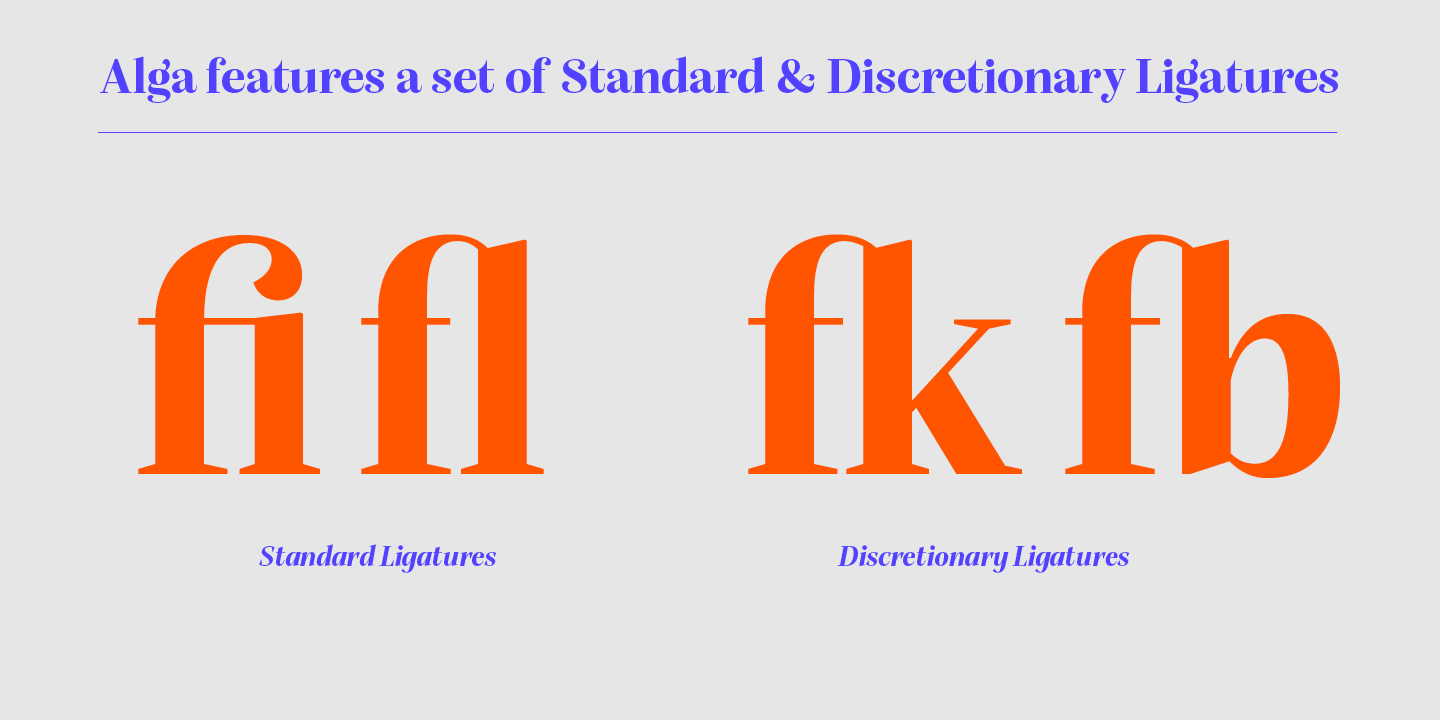 Alga Medium Italic Font preview